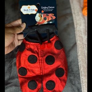 Pet Smart Guinea Pig Costume